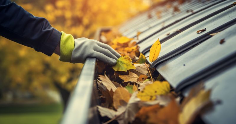 Preparing Gutters for Fall Leaves
